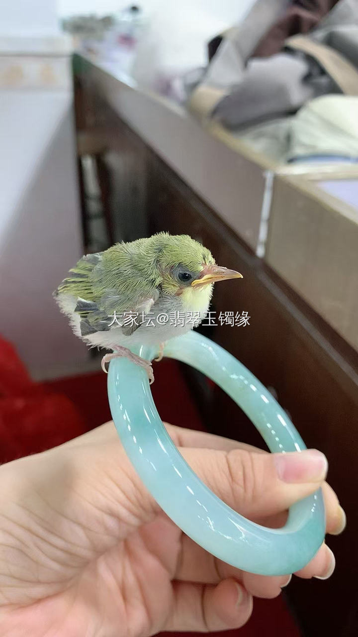 卖哪个？拉我手镯上，我就先卖你_首饰