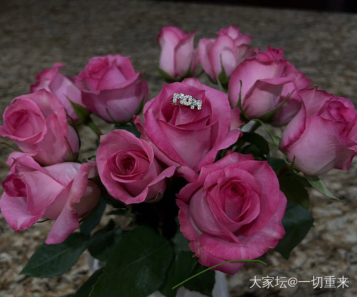 母亲节快乐呀_钻石金