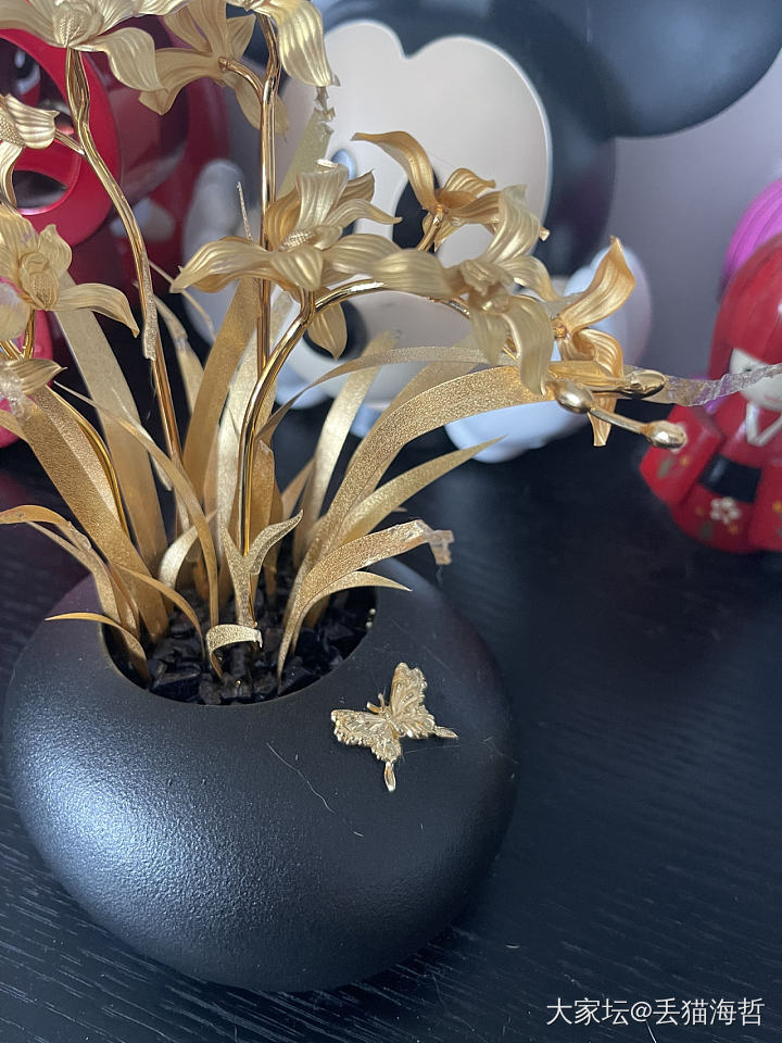 啊啊啊啊啊啊啊啊，孽障_宠物