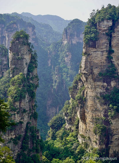 世界自然文化遗产张家界_旅游