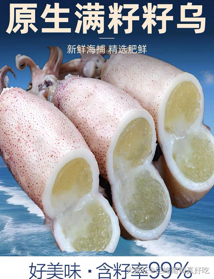 我的海兔干被那个糟心的老公处理成了鱿鱼干_美食