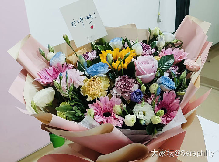 坛里的白衣天使们，节日快乐哇_节日
