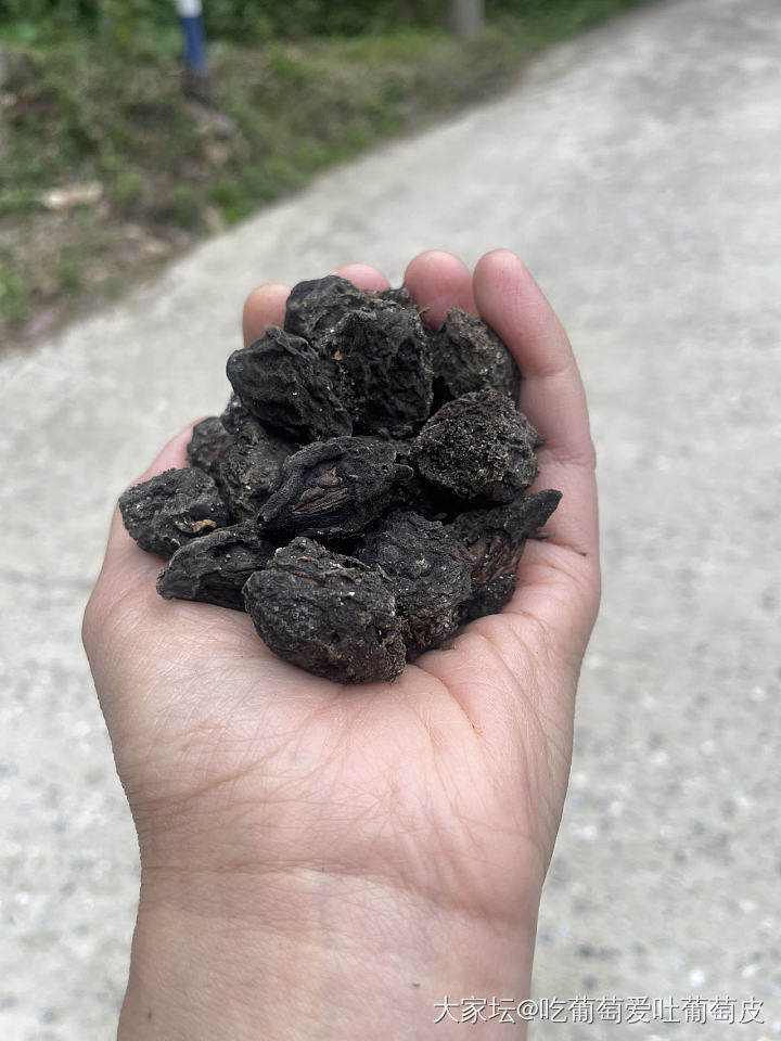 今日玩物及每月只有100元的文玩预算_首饰
