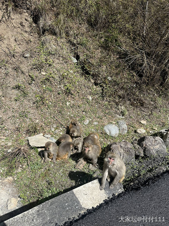 骑上心爱的小摩托，出发去西藏，新疆啦_旅游