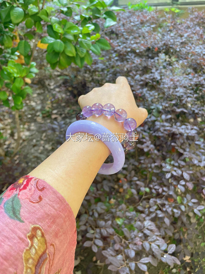 见光不死的紫镯子_手镯翡翠