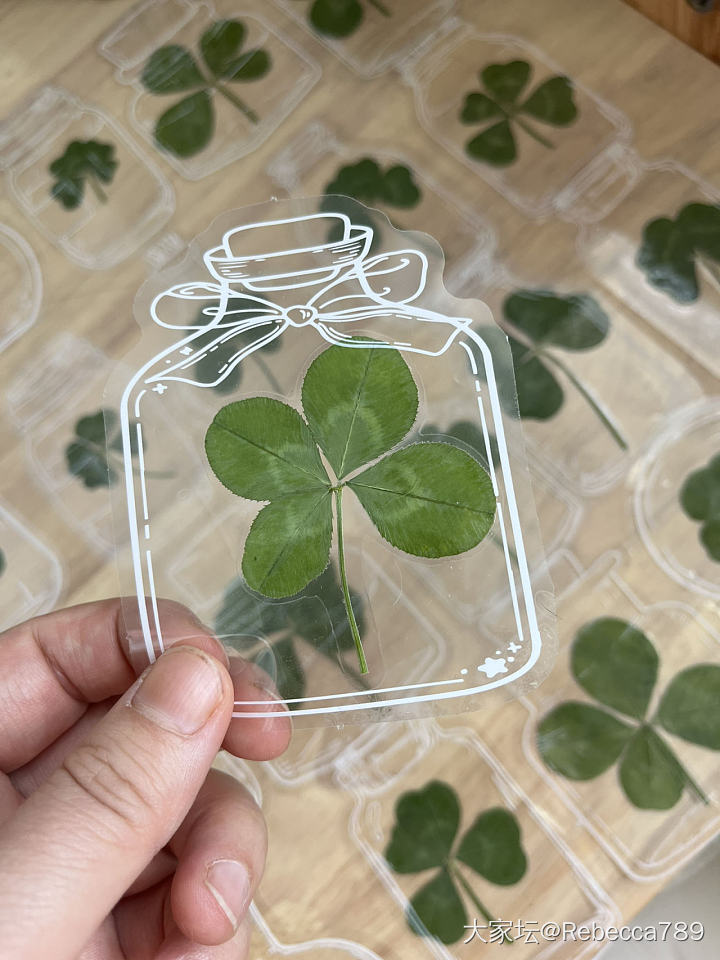 自制真四叶草🍀干花书签_品味