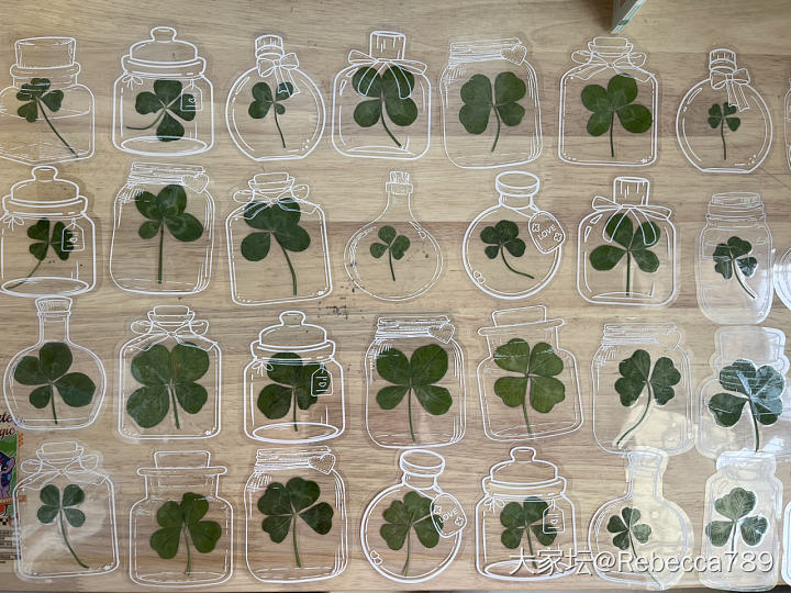 自制真四叶草🍀干花书签_品味