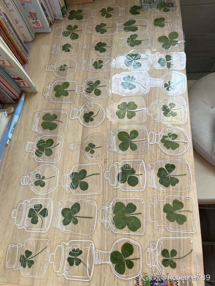 自制真四叶草🍀干花书签_品味
