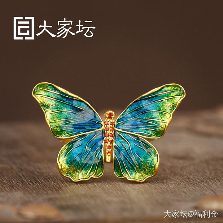 幻彩蝴蝶系列 拼团20250513期（5月14日下午三点截团）_金