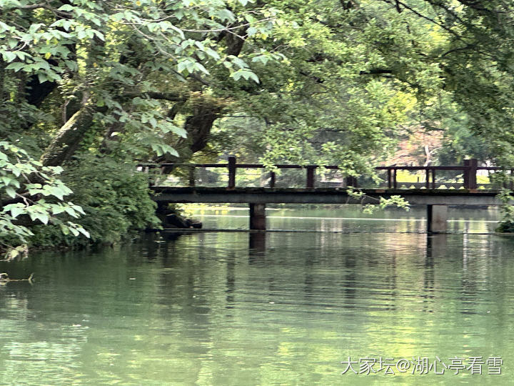 是谁？竟如此逍遥？_旅游