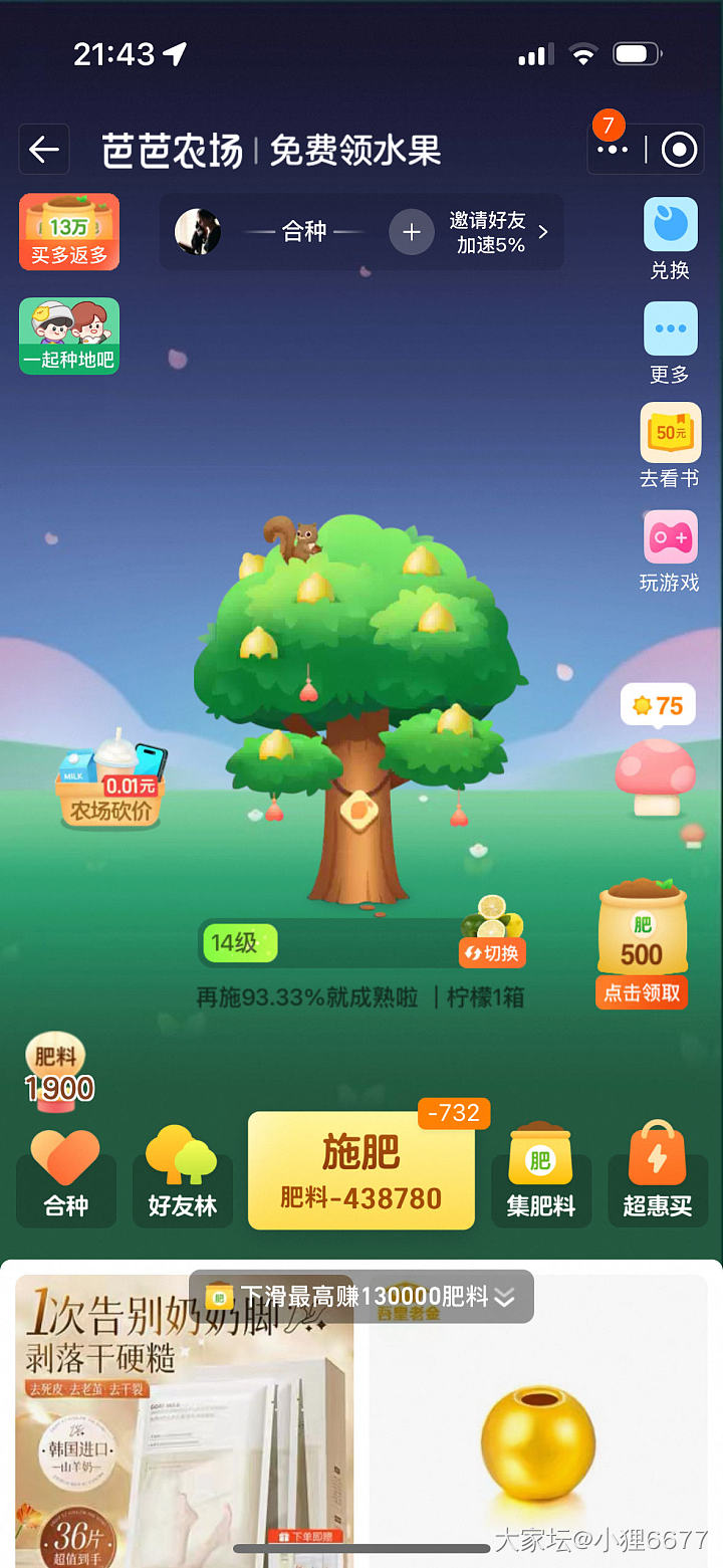 不玩羊毛珠了