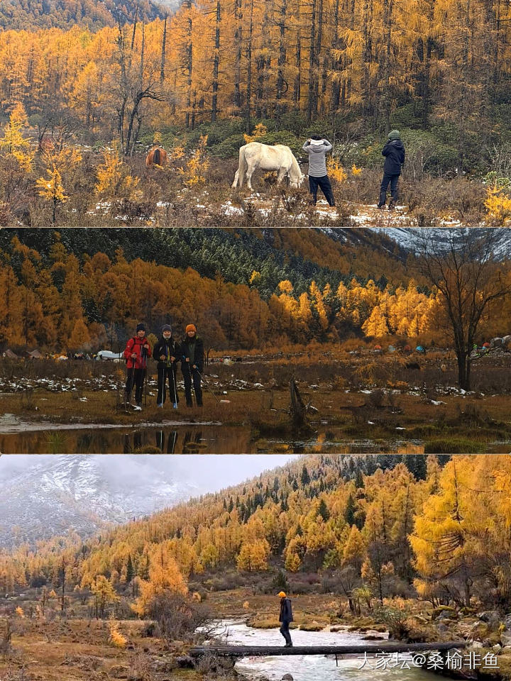 有没有坛友去川西徒步过，我被川西的美景迷住了_旅游