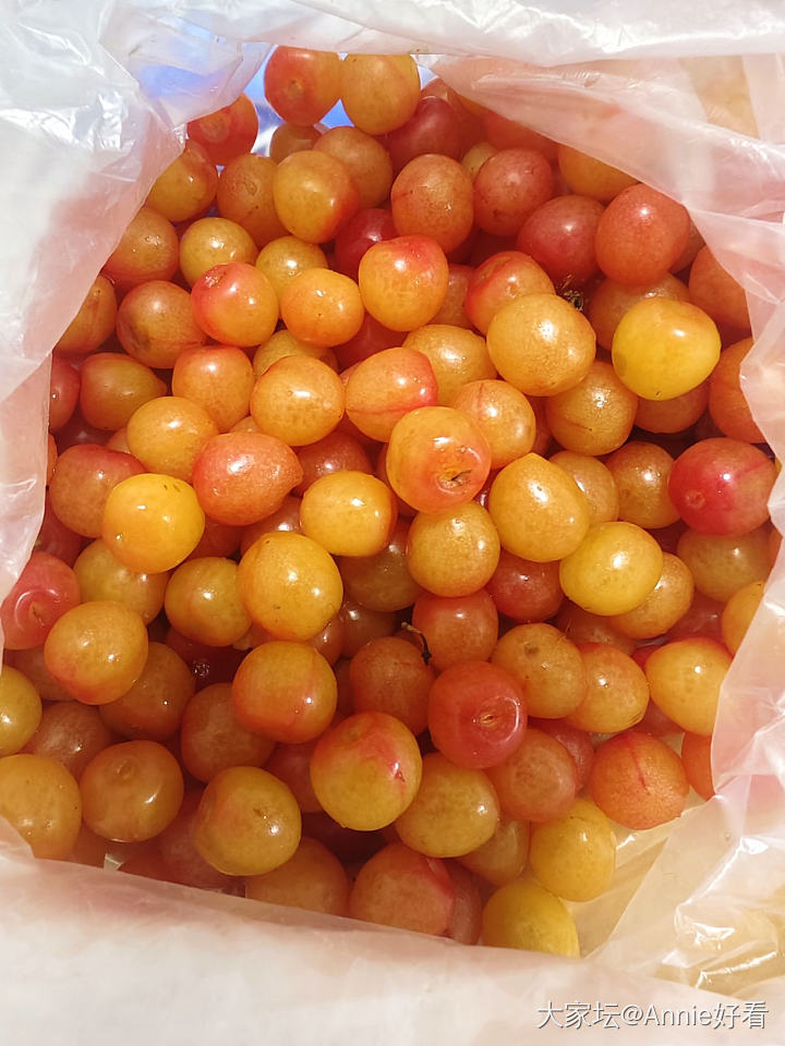 青岛的樱桃🍒进入尾声_水果