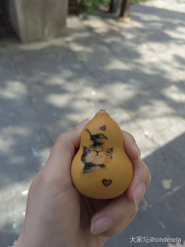 我控制不住我得分享欲_葫芦