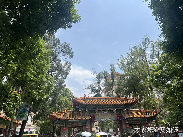 安师傅翠湖喂鼠_鼠