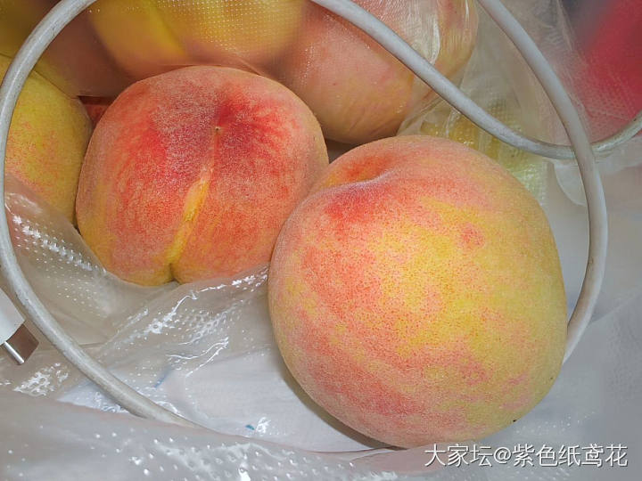 桃子熟了。_水果