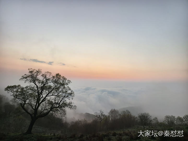 Yessssssss！I Do！💍
前一天晚上看到了很美的星星
第二天是爱在黎明..._旅游