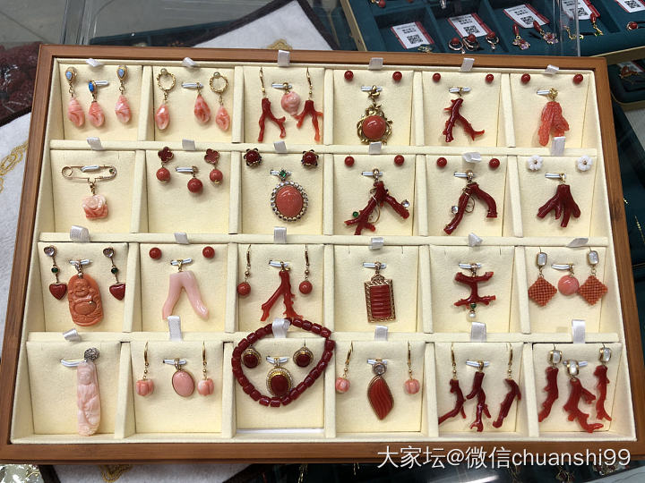 阿卡珊瑚 牛血 谁要什么 踢我踢我_有机宝石