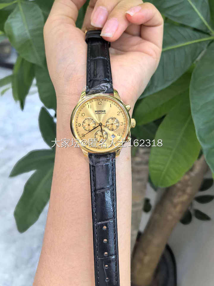 关于金表价格_网店商家手表
