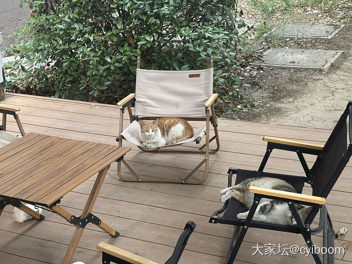 什么时候能躺平？_闲聊