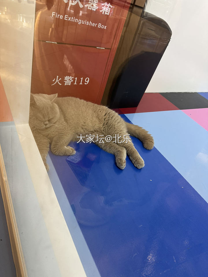 什么时候能躺平？_闲聊
