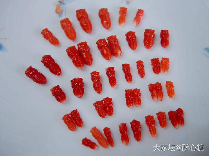 出精工阿卡蝴蝶身_彩色宝石