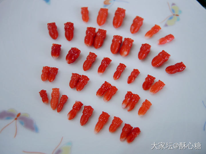出精工阿卡蝴蝶身_彩色宝石