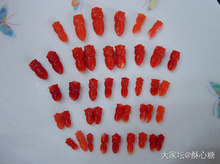 出精工阿卡蝴蝶身_彩色宝石