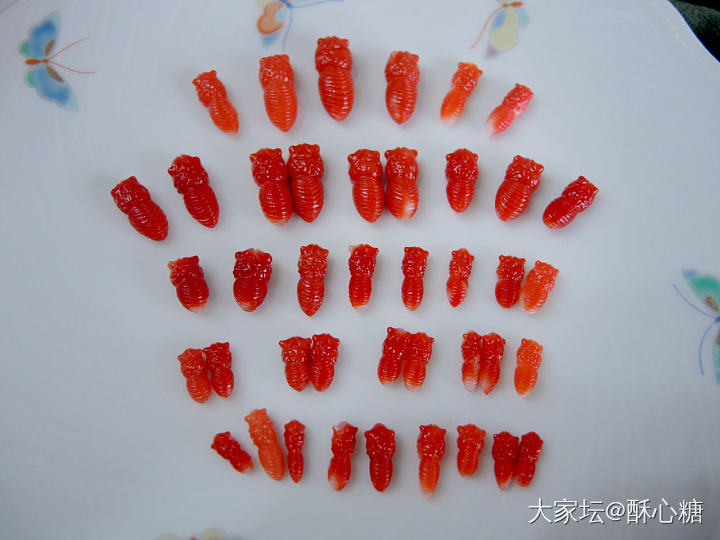 出精工阿卡蝴蝶身_彩色宝石