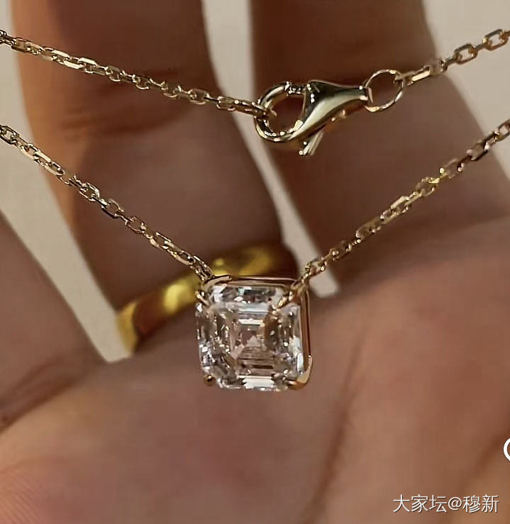 关于培育钻的疑问，请求解答。_培育钻