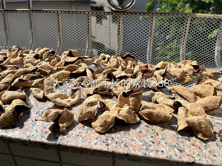 一两陈皮一两金，百年陈皮胜黄金🌞_美食