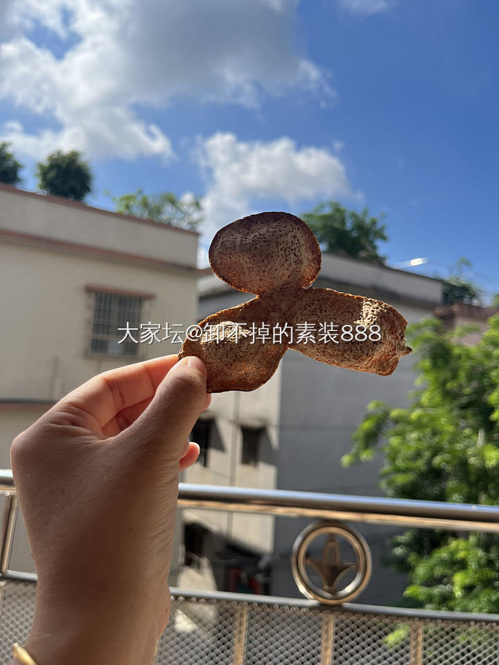 一两陈皮一两金，百年陈皮胜黄金🌞_美食