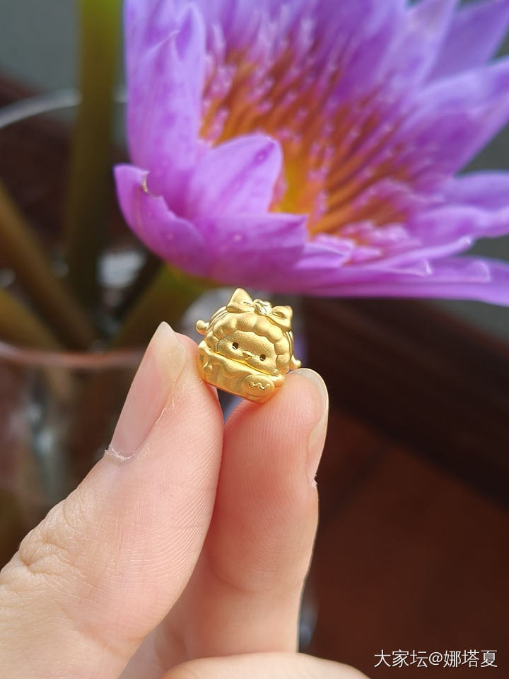硬着头皮也要买_金