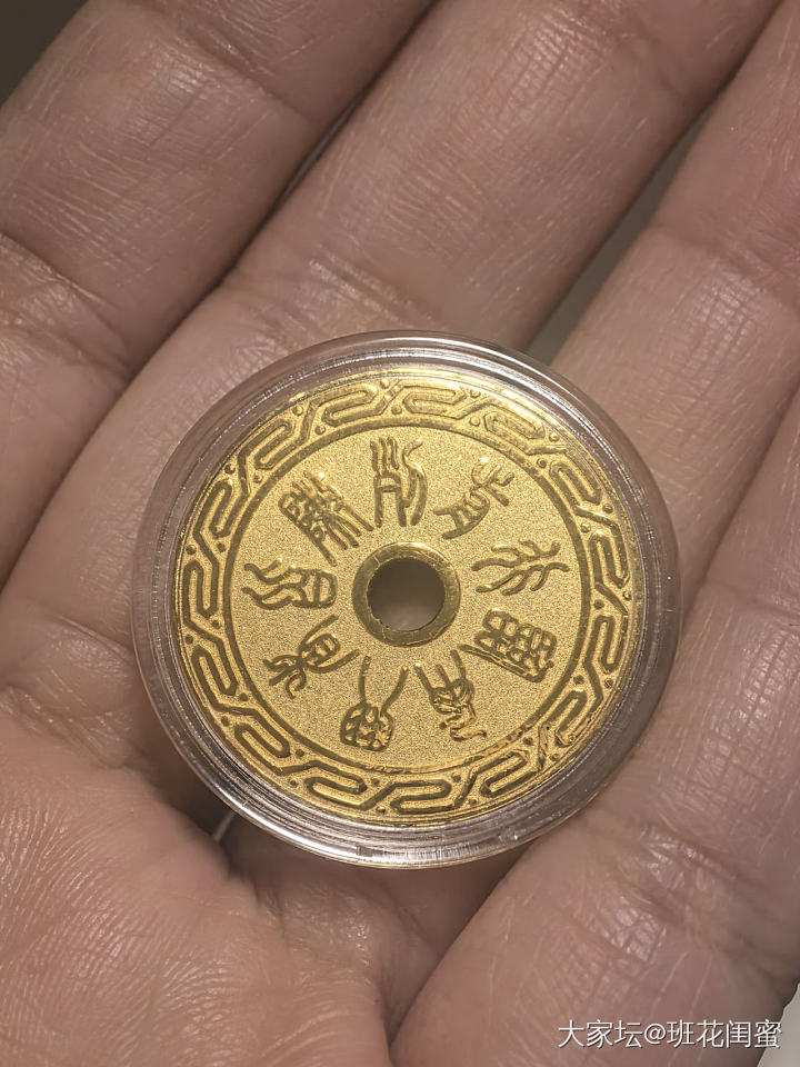 梦金园羊毛_金