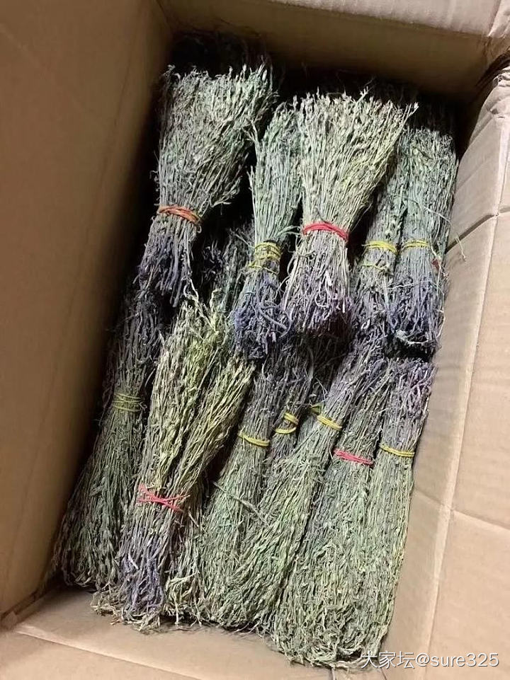 请教坛友们怎么办呀？🙏🙏🙏_育教亲子