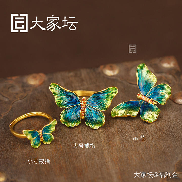 幻彩蝴蝶系列 拼团20250523期（5月24日下午三点截团）_金