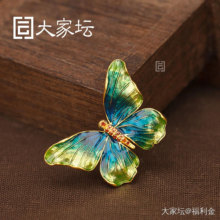 幻彩蝴蝶系列 拼团20250523期（5月24日下午三点截团）_金
