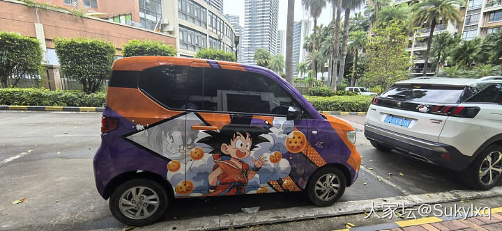 全村最靓的崽_车