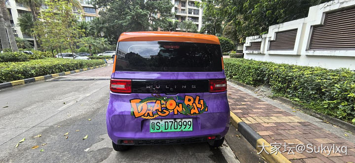 全村最靓的崽_车