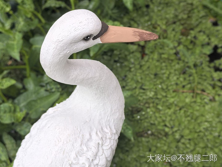 氛围感。_闲聊