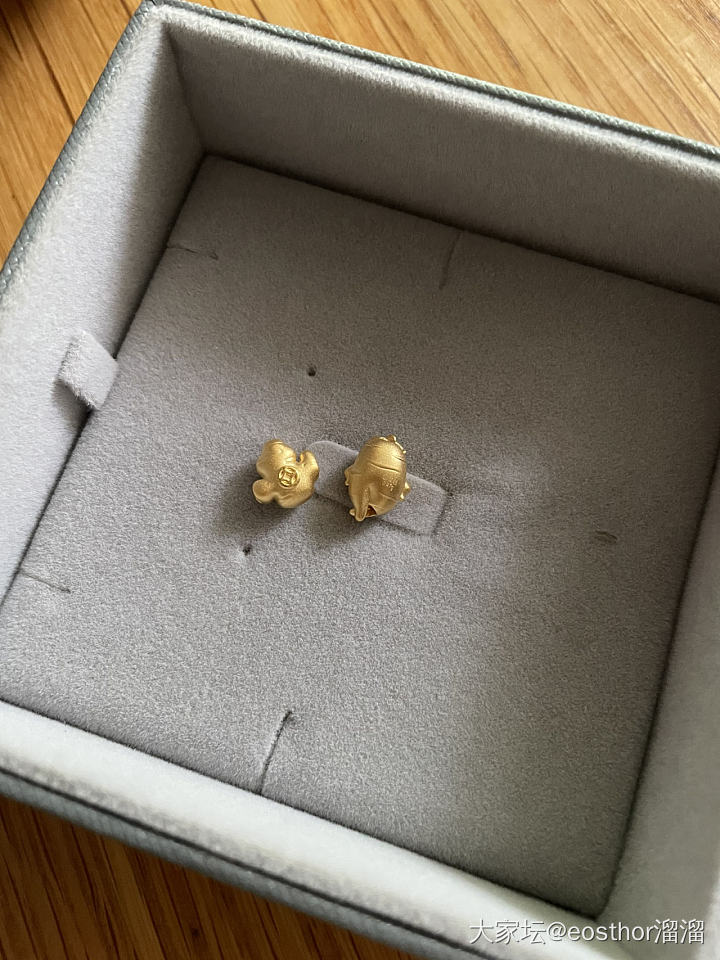 快乐🎉人参VS巨财💰姜至_金