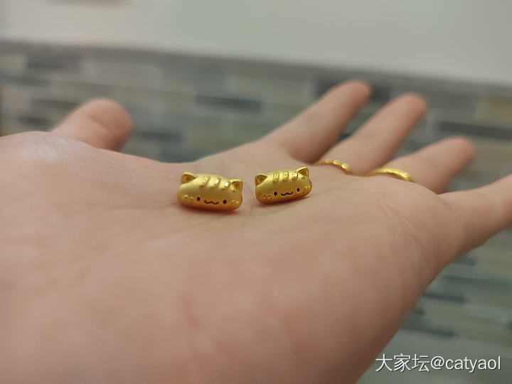 喵喵喵