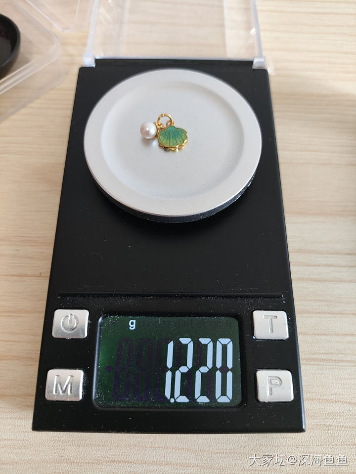 新到的小贝壳