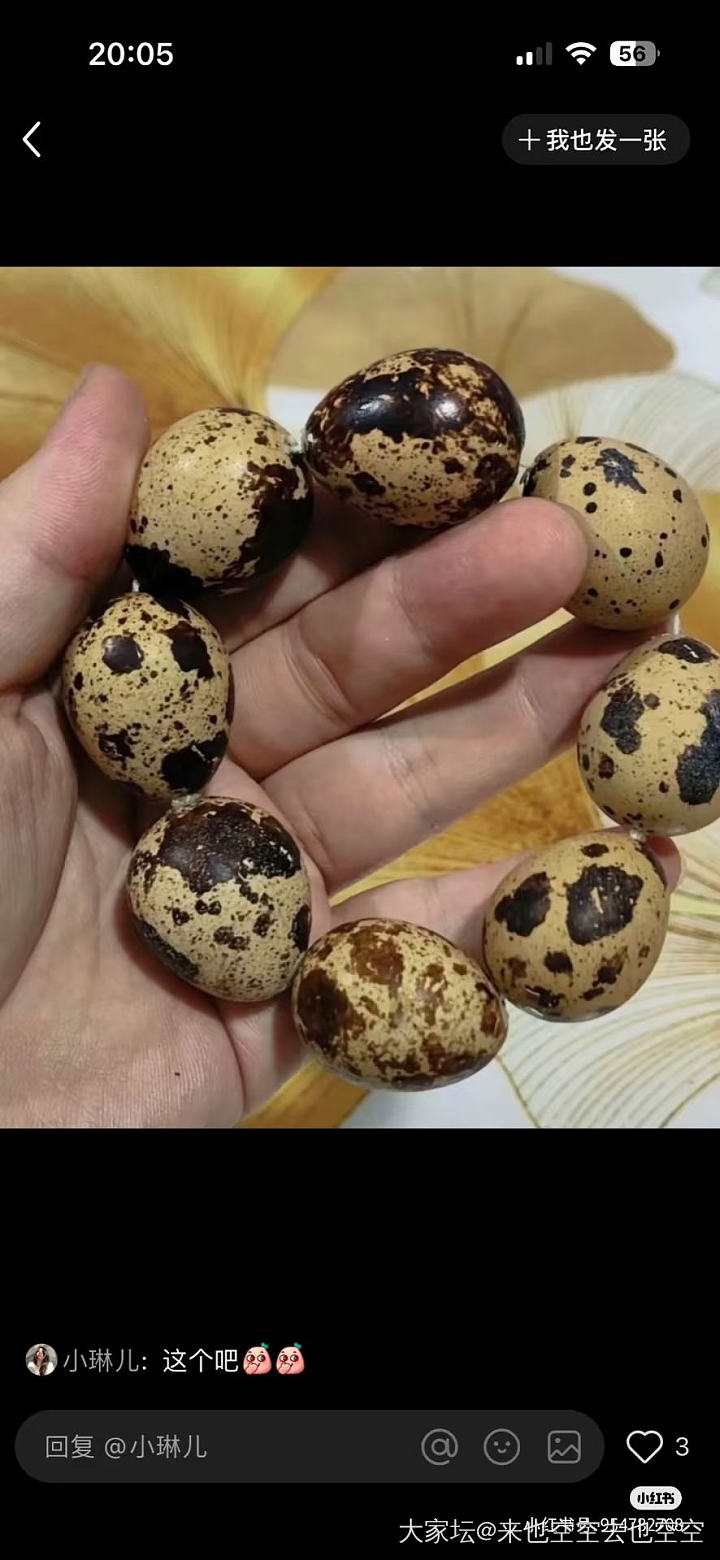 新到的几件宝贝