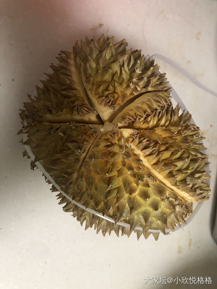第一次买榴莲