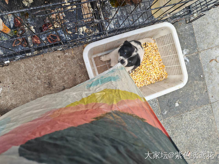 开心一刻：我是怎么在睡梦中把钱花出去的。_闲聊