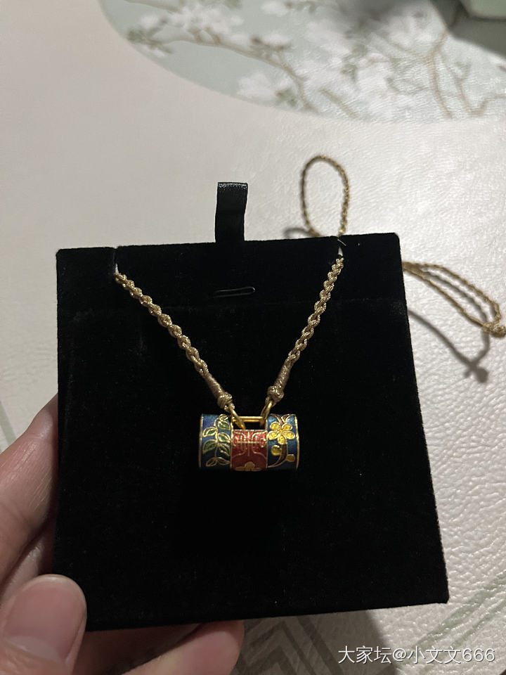 买了个小锁，好看吗？_金