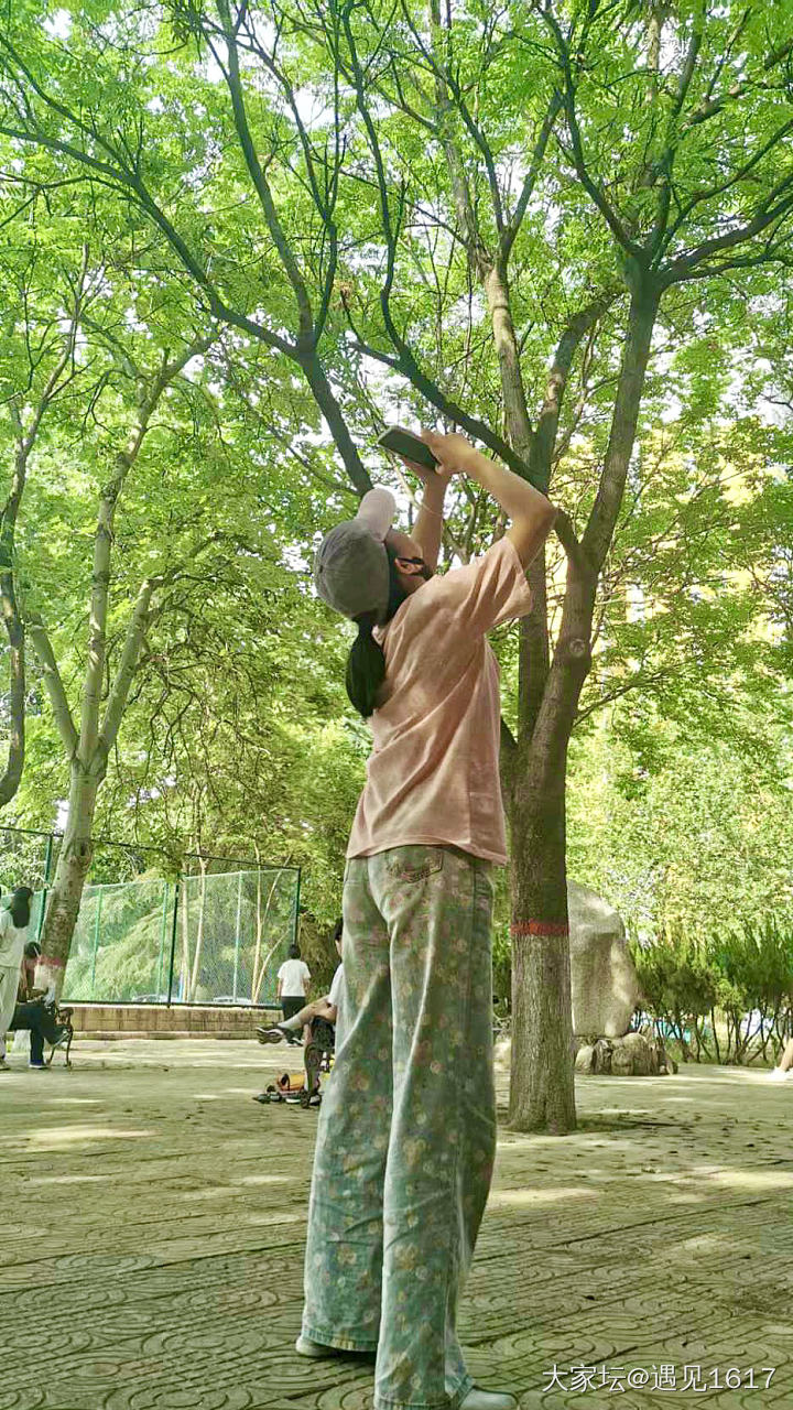 手机摄影：夏日天空_闲聊