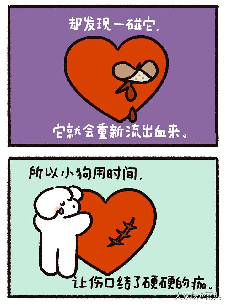 受过的伤，总会结痂，总会开花