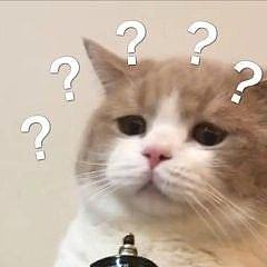 专家说企业不应该裁员_闲聊
